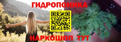молекула духа Коммунар