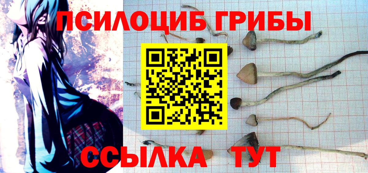Кунгур  Галлюциногенные грибы Magic Shrooms  Вход с VPN 